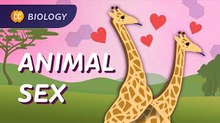 Sexual & Asexual Reproduction: How Animals Do It: Crash Course Biology #47