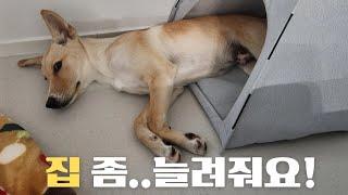 아부지~이래도 안 사랑해???