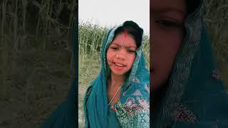 https://youtube.com/shorts/uJgimp_XxYs?si=kFo3cQ2g8OrpHBYC