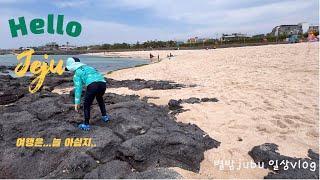 [별밤jubu 일상️ ]제주도여행/일상으로 돌아온 밥(제육볶음, 쏘야볶음)