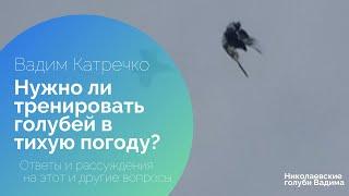 Нужно ли тренировать голубей в тихую погоду? Ответы и рассуждения на этот и другие вопросы.