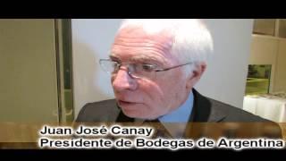 JUAN JOSÉ CANAY - BODEGAS DE ARGENTINA (Estrategias y Mercados)