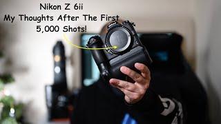 Nikon Z 6ii -The First 5,000 shots. Looking at example pictures, Buffer & Autofocus.