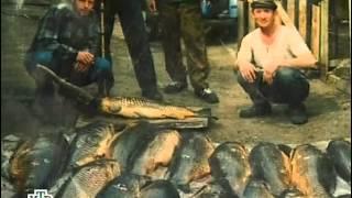 Профессия Репортер - Кыштымский Карлик (Film from ASHPIDYTU)