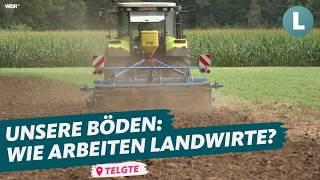 Der große Vergleich: Regenerative Landwirtschaft vs. Grubbern | WDR Lokalzeit Land.Schafft.