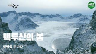 백두산의 봄, 원시의 생명을 만나다  | Spring of mount baek-du