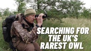 Searching For The UK's Rarest Owl