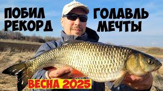 НЕ ЗРЯ ДОЖДАЛСЯ ВЕЧЕРКУ!!!  ЛЮБИМАЯ РЫБАЛКА НА ГОЛАВЛЯ ВЕСНОЙ НА СПИННИНГ! ГОЛАВЛЬ 2025!