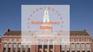 Multidisciplinary Studies