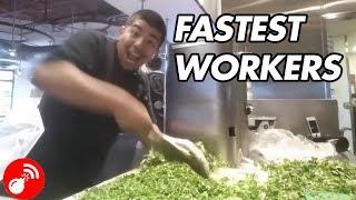 Fastest Workers Ever 2018