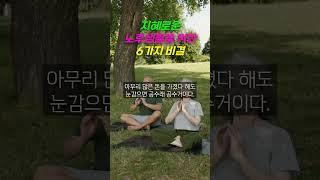 지혜로운 노후 생활을 위한 6가지 비결 #노년 #노후 #명언 #지혜