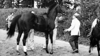 Remembering Ruffian Part 2: The Match Race