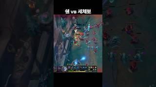 세체뽀 워윅 vs 남진 쉔