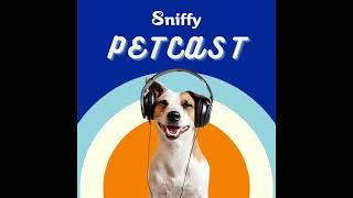 Sniffy's Petcast Ep.1 - Do I really need to bring my dog to a training class?