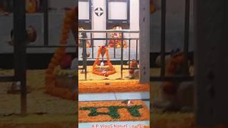 Vedic Chanting !! A.P.VlogS N L !! #mahadev #trending #atul #ytshorts #shorts #shortvideo #bolenath_