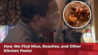 How Viking Pros Approach a Pest Control Job
