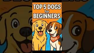 Top 5 Dogs for New Owners — But Here’s the Catch