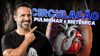 CIRCULAÇÃO PULMONAR E CIRCULAÇÃO SISTÊMICA