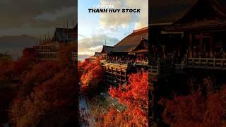 Người Nhật không thích đầu tư chứng khoán #t_huystock #cophieu #dcgr #thanh_huy_stock