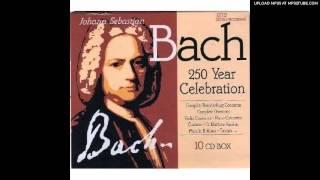 J. S. Bach - Concerto for Violin, Strings & Continuo No. 1 in A minor, BWV 1041 [Part 1]