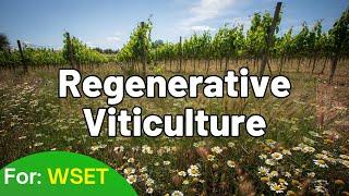 Introduction to Regenerative Viticulture for WSET