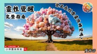 靈性覺醒：完整指南｜你正在經歷靈性轉變嗎？｜#香港  #廣東話  #粵語  小草老師 小草靈氣教室