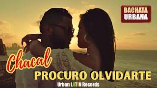 CHACAL ► Procuro Olvidarte (Bachata Romantica)