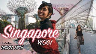 Travel To Singapore- YOU WON'T REGRET IT!