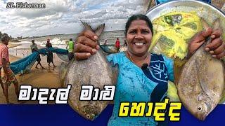 Fish Catch And Cooking In Beach! Making Delicious Seafood Curry From Seine Net Fish