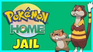 Patrat: The Pokémon STUCK in Pokémon Home