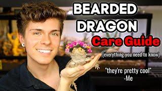 Bearded Dragon Care Guide! (EVERYTHING you need to know)