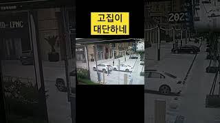 가지말라고 막은 곳을 밀고 들어가 #주차장 #차단기 #운전