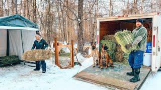 Firewood & Cinnamon Rolls! Winter Chores at the New Cabin!