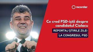 REPORTAJ. Ce cred PSD-iștii despre candidatul Ciolacu