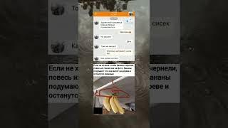 мемы мемуары мемасики #мемы #мемасы #приколы #шортики