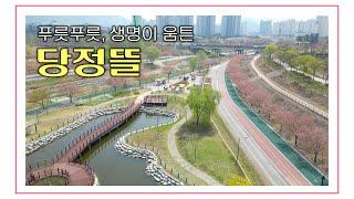 [4K] 청정하남 하남명소 [당정뜰] 짧게 둘러보기