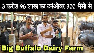 3 करोड़ 96 लाख का टर्नओवर 300 भैंसो से || Big Buffalo Dairy Farm Gujarat