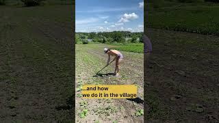 City sunbathing vs. village sunbathing ️ #ukrainiansummer #funnyshorts