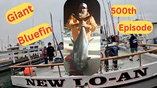 2 Day Trip Day 1 New Lo-An Sportfishing Early Season Giant Bluefin Tuna Bloody Decks 500th Episode