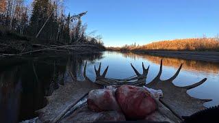 Alaska Yukon/Kateel River Moose Hunt