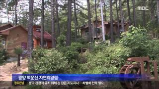 [뉴스투데이]대표 힐링공간...'휴양림' 늘어