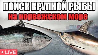 ПОЙМАЛИ 2 КРУПНЯКА• НОРВЕЖСКОЕ МОРЕ • РР4 СТРИМ