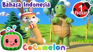 Lomba Lari Kelinci dan Kura-kura | CoComelon Bahasa Indonesia - Lagu Anak Anak | Nursery Rhymes