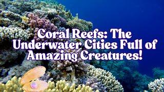 Amazing Coral Reef Fun Facts for Kids! | Learn About the Ocean's Hidden World  #coral #reef #ocean