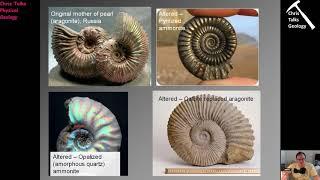 Lecture 11 - Sedimentary Structures and Fossils Part 4