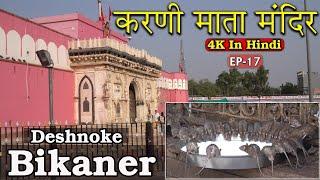 करणी माता मंदिर Bikaner | EP 17 | Rajasthan Series | pack4yatra