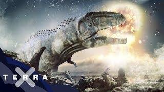 Woran genau starben die Dinos? | Terra X