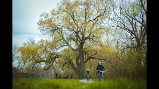 A Glimpse of Spring In London, Ontario.