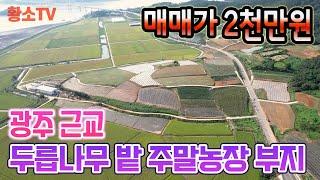 [전북토지매매] #1697 순창군 풍산면 광주 30분거리 876㎡ (265평) 주말농장 부지 매매가 2천만원