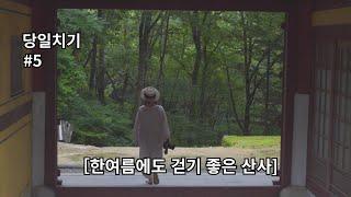 EP5┃당일치기〈한여름에도 걷기 좋은 산사〉